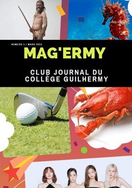 Couverture_MAG_ERMY.JPG